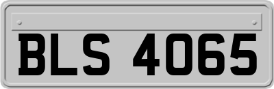 BLS4065