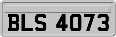 BLS4073