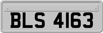 BLS4163