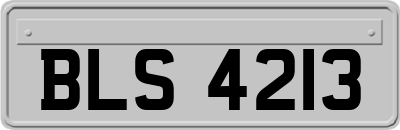 BLS4213