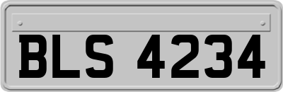 BLS4234