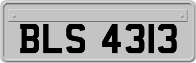 BLS4313
