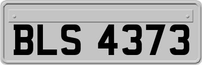 BLS4373