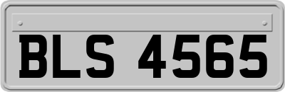 BLS4565