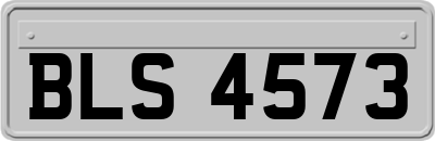 BLS4573