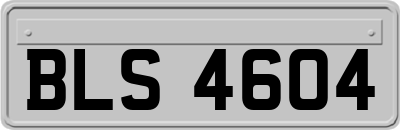 BLS4604