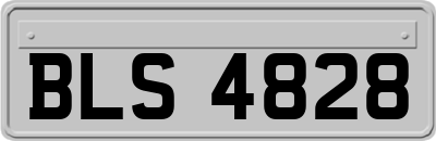 BLS4828