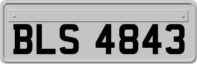 BLS4843
