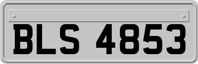 BLS4853