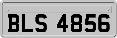 BLS4856