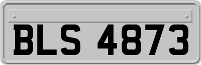 BLS4873