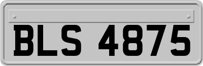 BLS4875