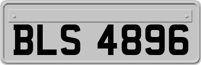 BLS4896