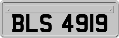 BLS4919