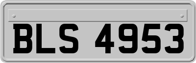 BLS4953