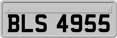 BLS4955