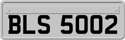 BLS5002