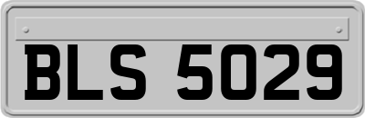 BLS5029