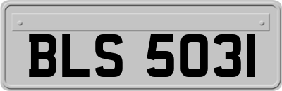 BLS5031