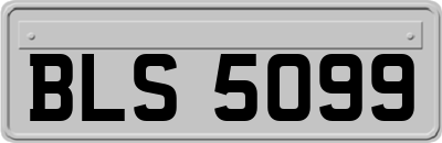 BLS5099