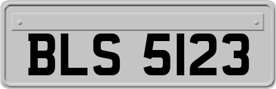 BLS5123