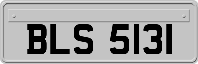 BLS5131