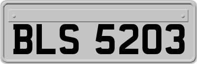 BLS5203