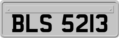 BLS5213