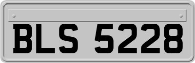 BLS5228