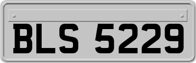 BLS5229