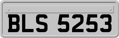 BLS5253