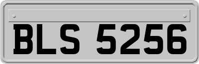 BLS5256
