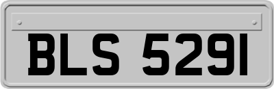 BLS5291