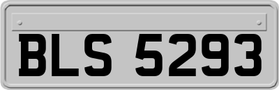BLS5293