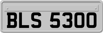 BLS5300