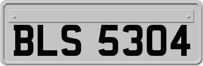 BLS5304