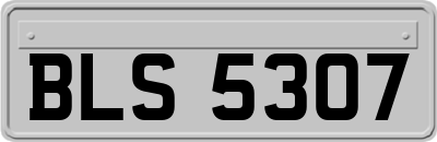 BLS5307