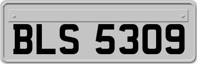 BLS5309