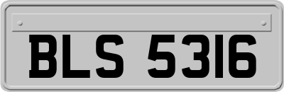 BLS5316