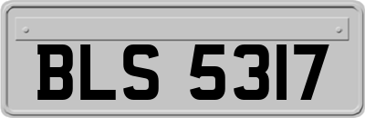 BLS5317