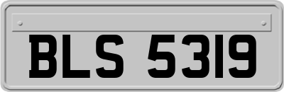 BLS5319