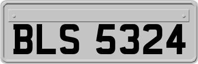 BLS5324