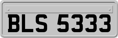 BLS5333
