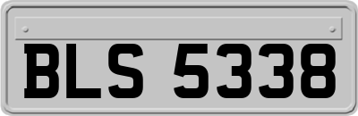 BLS5338