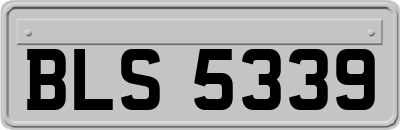 BLS5339