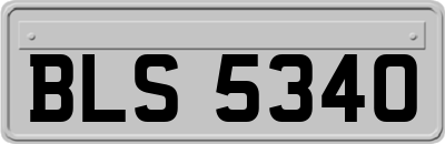 BLS5340