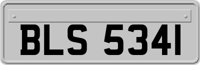 BLS5341