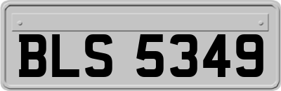 BLS5349