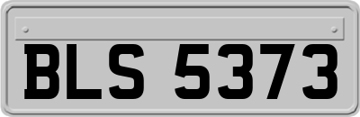 BLS5373