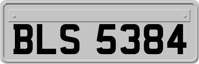 BLS5384